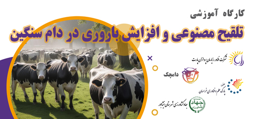 کارگاه آموزشی تلقیح مصنوعی و افزایش باروری در دام سنگین